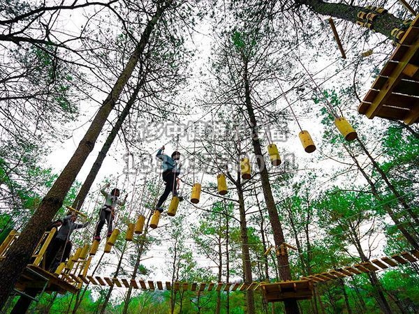 叢林穿越設備的搭建對環境有影響嗎?